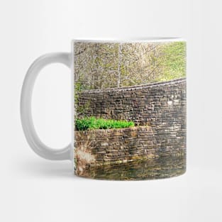 Stone Bridge and Still Water. Mug